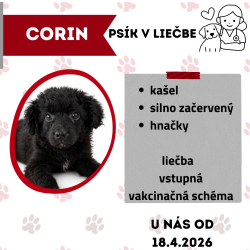 CORIN