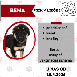 BENA