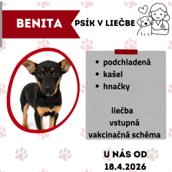 BENITA