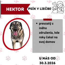 HEKTOR