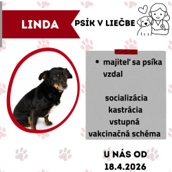 LINDA