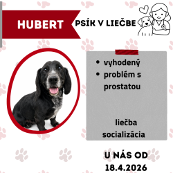 HUBERT
