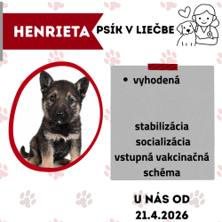 HENRIETA