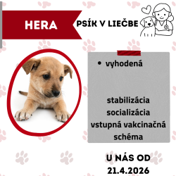 HERA