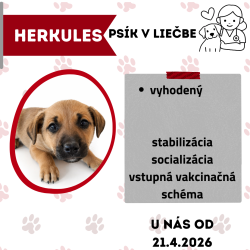 HERKULES