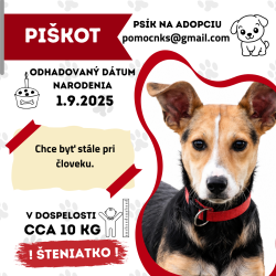 PIŠKOT