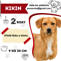 KIKIN