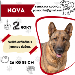 NOVA
