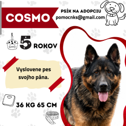 COSMO