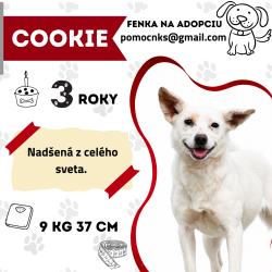 COOKIE