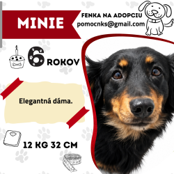 MINIE