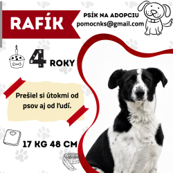 RAFÍK