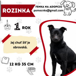 ROZINKA
