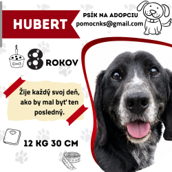 HUBERT