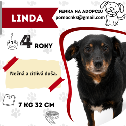LINDA