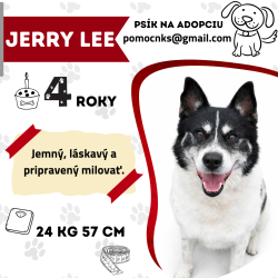 JERRY LEE