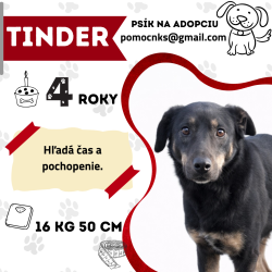 TINDER