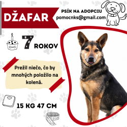 DŽAFAR