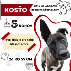 KOSŤO