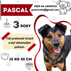 PASCAL