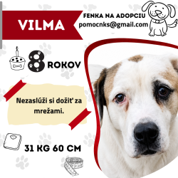 VILMA