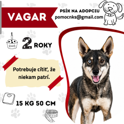 VAGAR