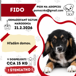 FIDO