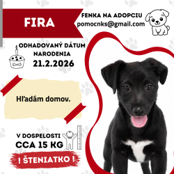 FIRA