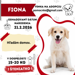 FIONA