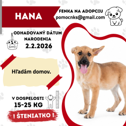 HANA