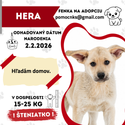HERA