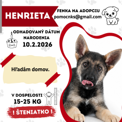 HENRIETA