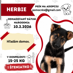 HERBIE