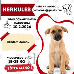 HERKULES