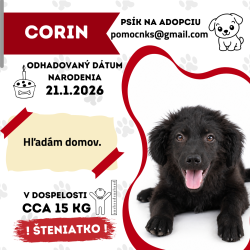 CORIN