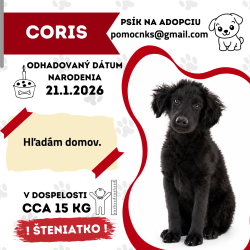 CORIS