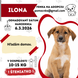 ILONA
