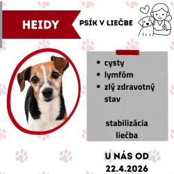 HEIDY