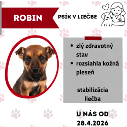 ROBIN