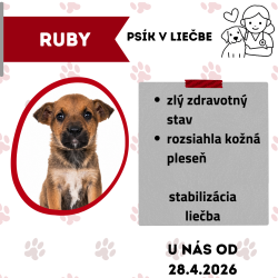 RUBY