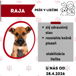 RAJA