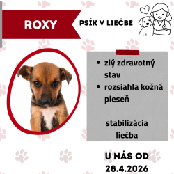 ROXY