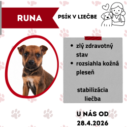 RUNA