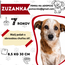 ZUZANKA