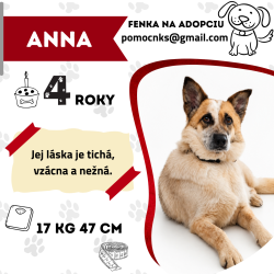 ANNA