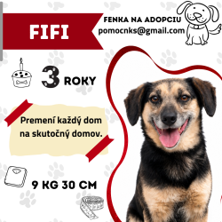 FIFI