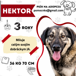 HEKTOR
