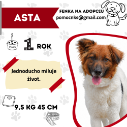 ASTA