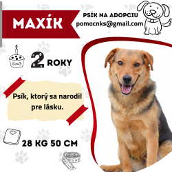 MAXÍK
