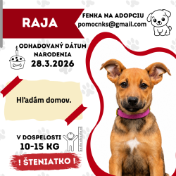 RAJA